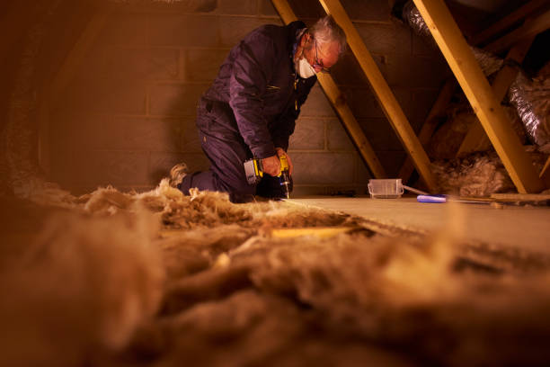 Best Insulation Installation Services in Fuquay Varina, NC